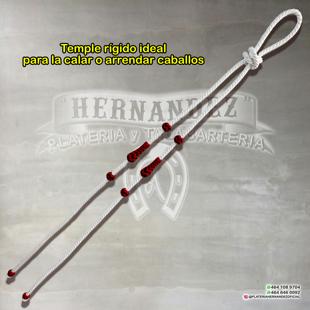 Rienda Rígida Charra Blanco botones Rojo Negro