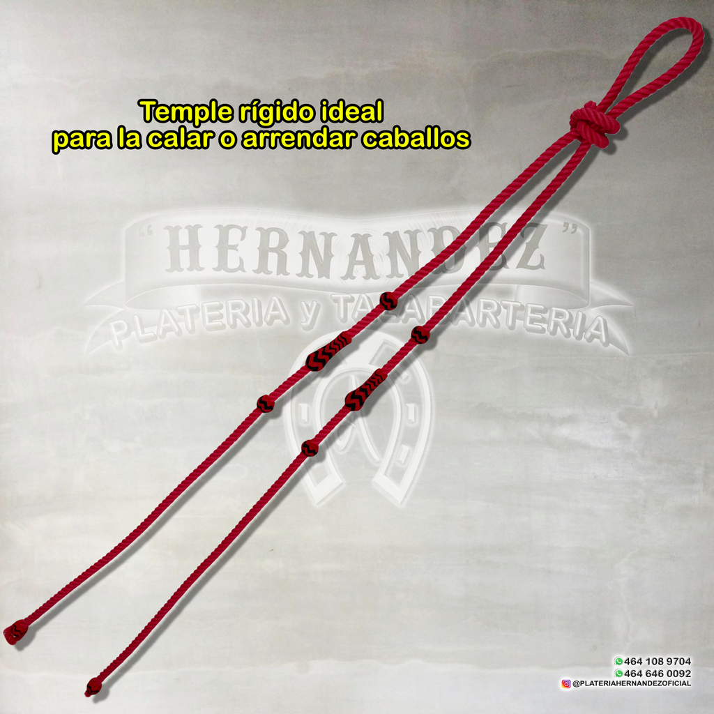 Rienda Rígida Charra Roja botones Rojo Negro
